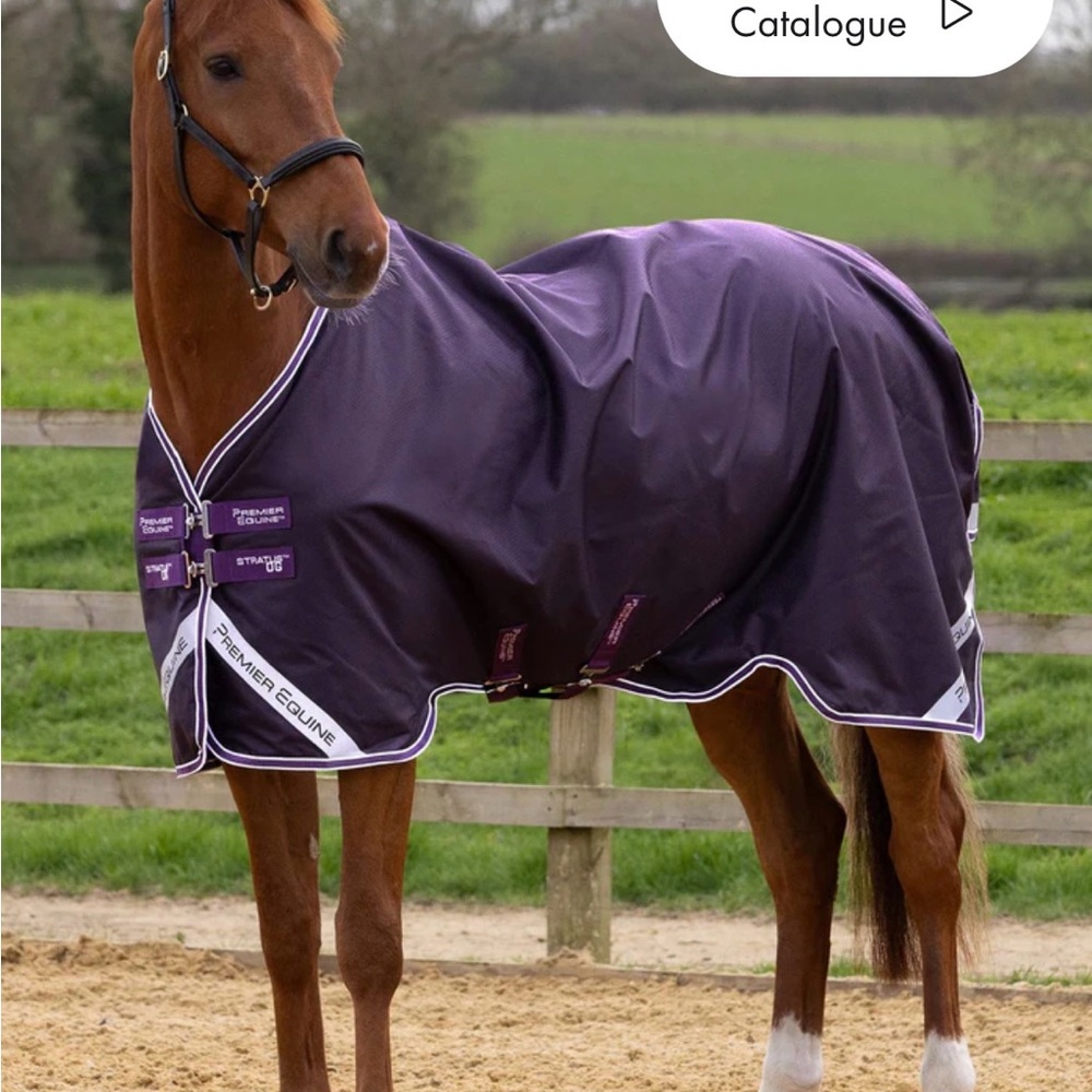 Premier Equine Stratus Turnout horse sheet  0g, purple, 87 NWT
